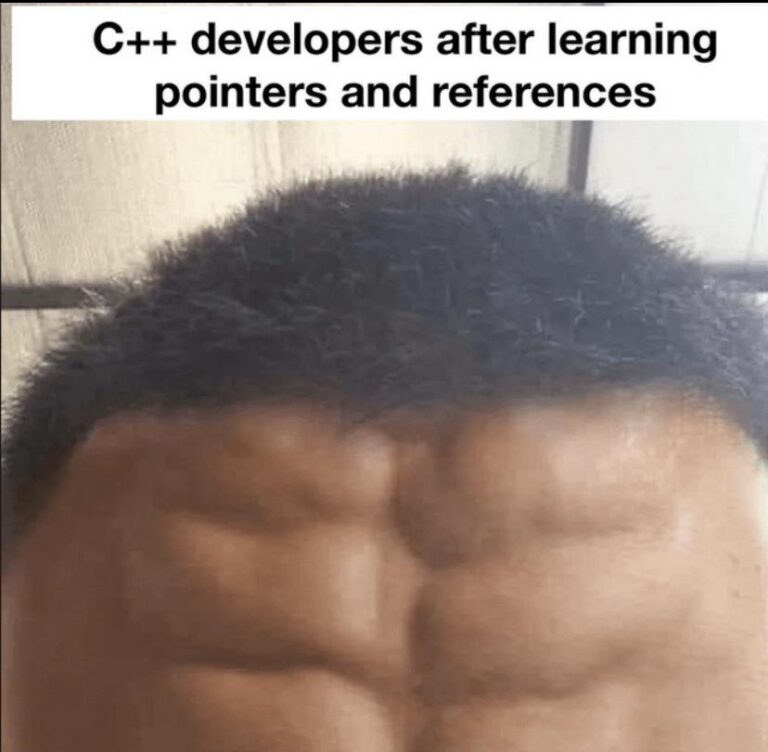 C++ developers after learning pointers and references